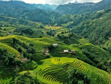 Best Time To Visit Sapa Rice Fields 04 1690470250