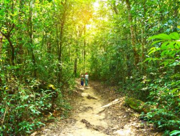 Walking,Trails,In,The,North,Of,Phu,Quoc,Island,,One