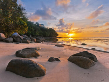 Tropical Beach In Ebb Time On Sunset Background. Nai Yang Beach. Phuket. Thailand