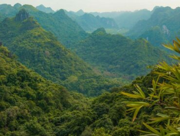 Overview Cat Ba National Park E1581394219862