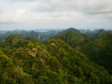 Tam Dao National Park Vietnam Lush Green Mountains Scaled